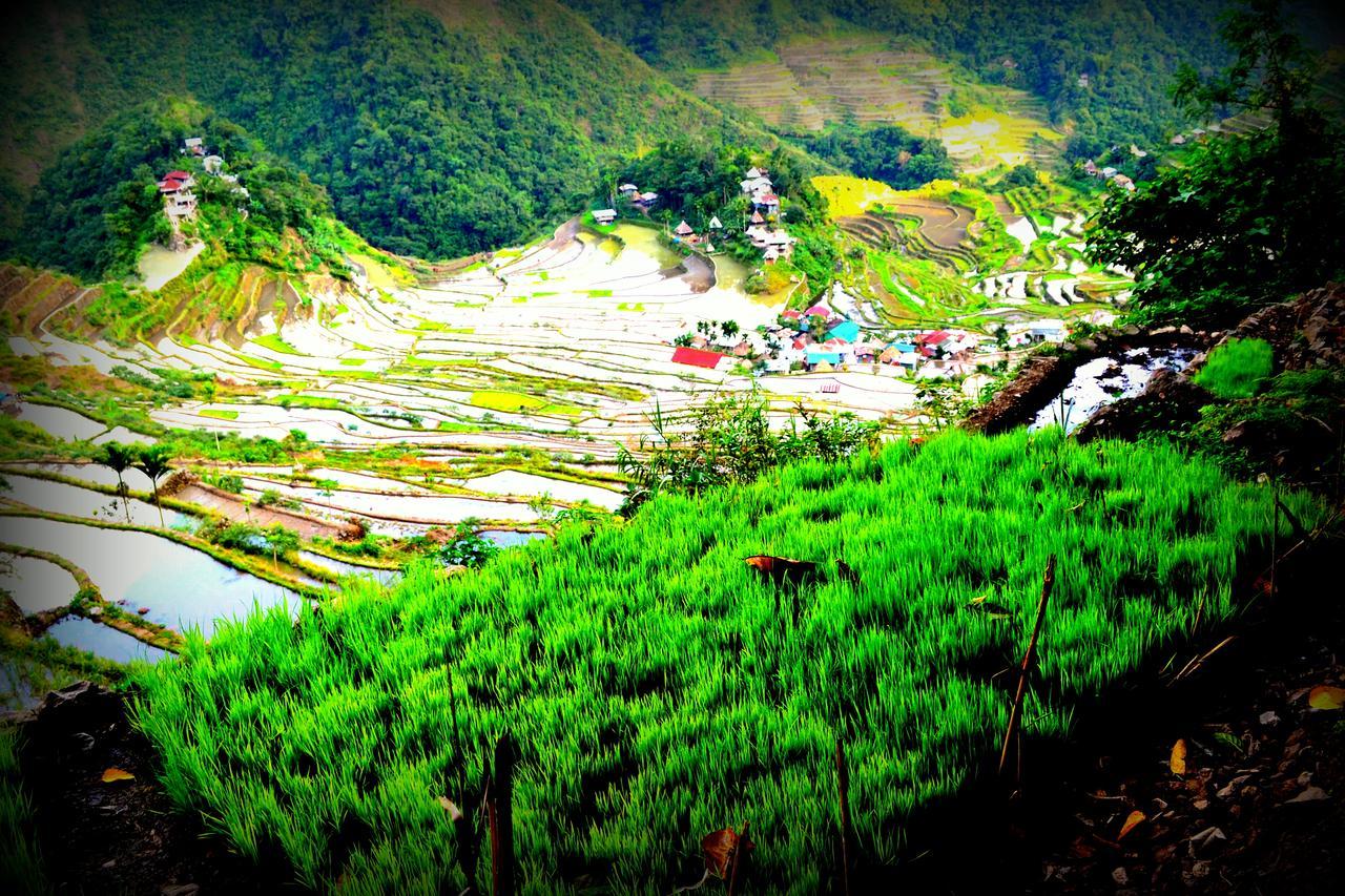 Highland Inn&Restaurant Banaue Exterior foto